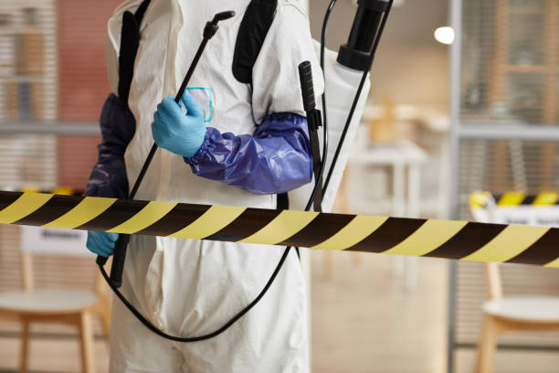 Professional Sewage Cleanup technician working in Quincy, WA